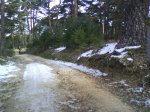 DSC00162.jpg