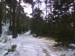 DSC00166.jpg