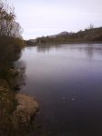 DSC00170.jpg