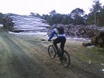 DSC00160.jpg