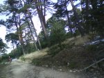 DSC00161.jpg