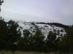 DSC00156.jpg