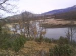 DSC00186.jpg