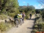 DSC05996.jpg