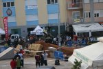 IMG_2133.jpg
