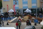 IMG_2130.jpg
