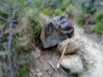 27112010089.jpg