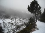 DSCN0117.jpg