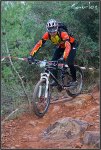 IMG_1219-copia[1].jpg