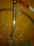 25112010397.jpg