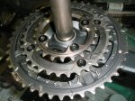 PB110008.jpg