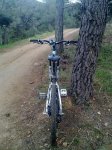 28112010335.jpg