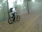 Lluvia y niebla 1-1.jpg