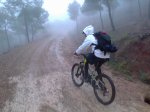Lluvia y niebla 2-1.jpg