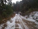 27112010060.jpg