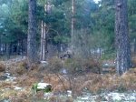 27112010068.jpg