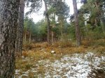 27112010065.jpg