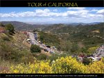 cali-flowers.jpg