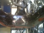 IMG00179-20101201-1252.jpg
