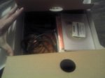 2010-11-28 20.24.49.jpg