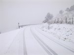 Imagen0175.jpg