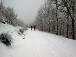 Imagen0221.jpg