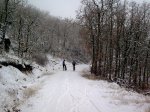 Imagen0219.jpg