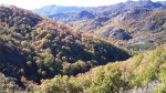 DSC00276.jpg