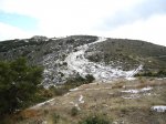 DSC00926.jpg