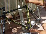 COLNAGO cm 003.jpg