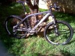 IMG00074-20101103-1142.jpg