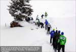 liquigas-snowfight (1).jpg