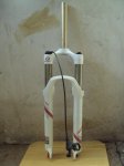 DSC01310.jpg
