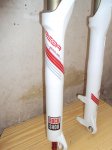 DSC01311.jpg