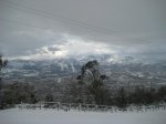 IMG_4245.jpg