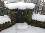 30112010081.jpg