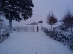 2010-12-03 12.08.29.jpg