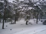 2010-12-03 12.10.57.jpg
