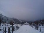 2010-12-03 12.08.34.jpg