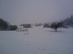 2010-12-03 12.10.52.jpg