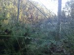 28112010539.jpg