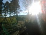 28112010540.jpg