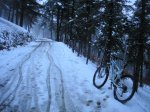 PC030045.jpg