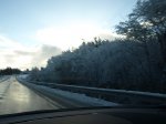 PC032337.jpg