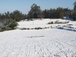 PC032344.jpg