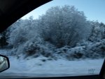 PC032336.jpg