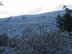 PC032341.jpg