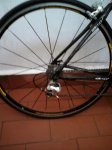merida 005.jpg