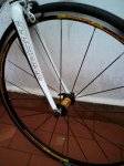 merida 006.jpg
