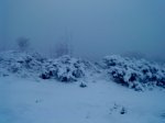 DSC00268.jpg